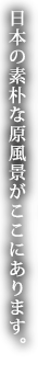 日本の素朴な原風景がここにあります。